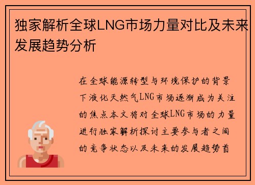独家解析全球LNG市场力量对比及未来发展趋势分析