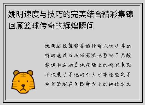 姚明速度与技巧的完美结合精彩集锦回顾篮球传奇的辉煌瞬间